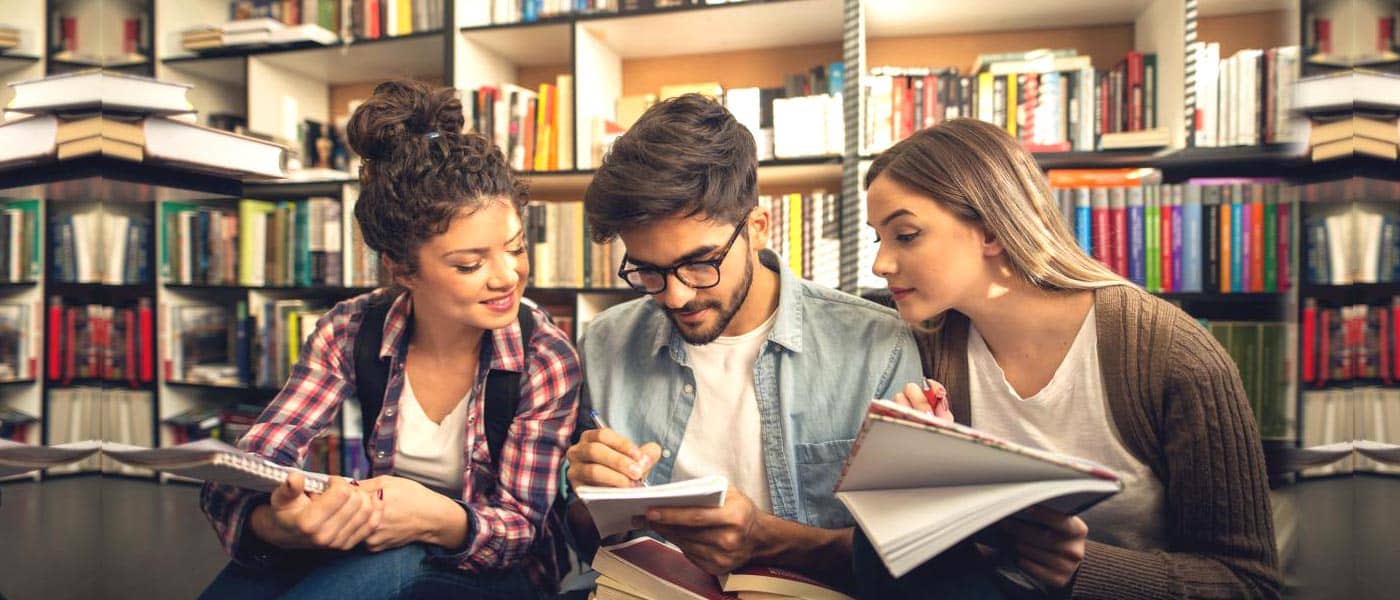 Professional Student Visa Service